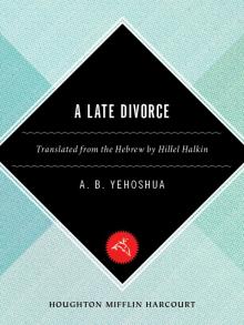 A Late Divorce Read online