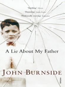 A Lie About My Father Read online