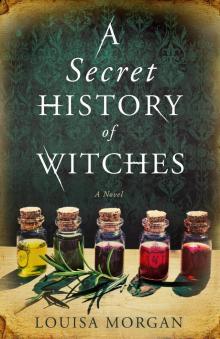 A Secret History of Witches Read online