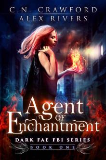 Agent of Enchantment (Dark Fae FBI Book 1) Read online