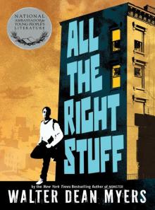 All the Right Stuff Read online