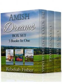 AMISH ROMANCE: Amish Dreams Box Set: Books 1-3
