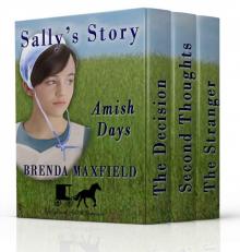 Amish Romance BOXED Set: Amish Days: Sally's Story (Hollybrook Amish Romance) Read online