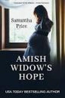 Amish Widow's Hope Read online
