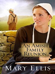 An Amish Family Reunion Read online