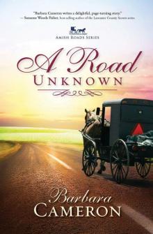 AR01 - A Road Unknow Read online