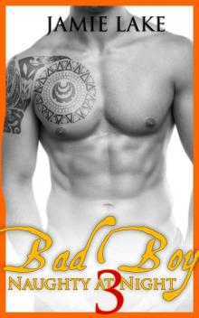 Bad Boy 3 Read online