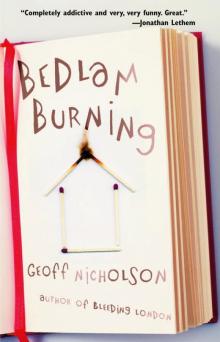 Bedlam Burning Read online
