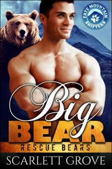 Big Bear (Bear Shifter Paranormal Romance) (Rescue Bears Book 3)