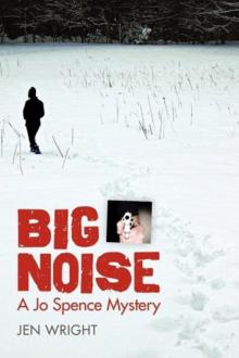 Big Noise Read online