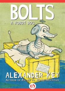 Bolts Read online