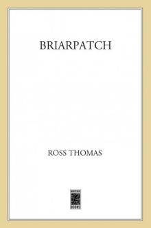 Briarpatch Read online