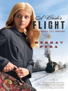 Bride's Flight from Virginia City, Montana Read online