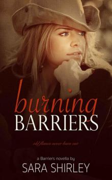 Burning Barriers (Barriers Series Book 3) Read online