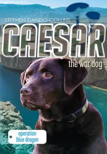 Caesar the War Dog 2