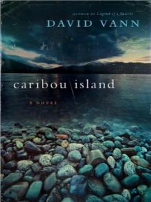 Caribou Island: A Novel Read online