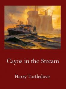 Cayos in the Stream