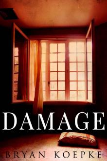 Damage: A Reece Culver Thriller