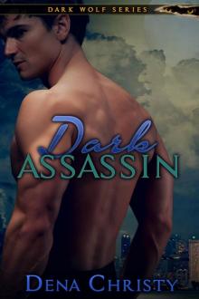 Dark Assassin Read online