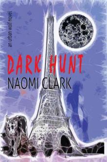 Dark Hunt Read online
