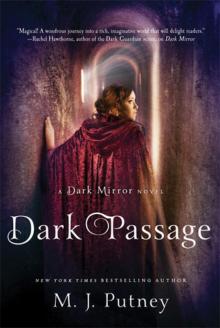 Dark Mirror 2 - Dark Passage Read online