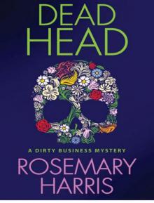 Dead Head: A Dirty Business Mystery Read online