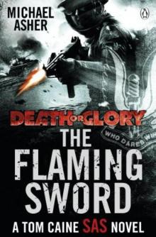 Death or Glory II: The Flaming Sword: The Flaming Sword Read online