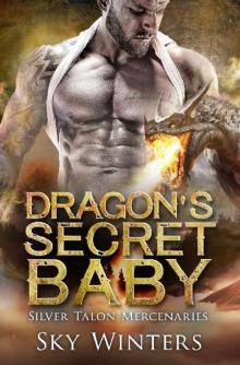 Dragon's Secret Baby (Silver Dragon Mercenaries Book 1) Read online