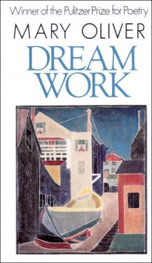 Dream Work Read online