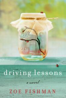 Driving Lessons Read online