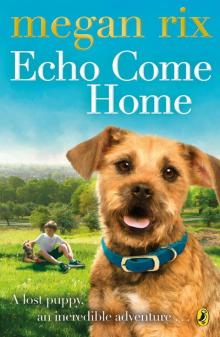 Echo Come Home Read online