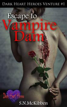 Escape To Vampire Dam (Dark Heart Heroes Book 1) Read online
