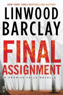 Final Assignment: A Promise Falls Novella Read online