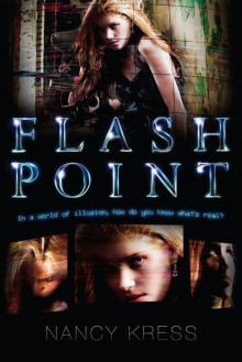 Flash Point Read online