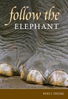 Follow the Elephant Read online