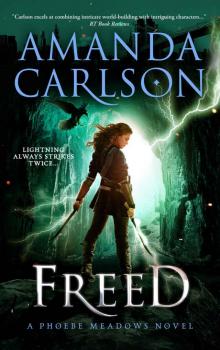 Freed: (Phoebe Meadows Book 2) Read online