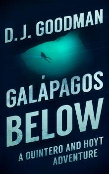 Galapagos Below Read online