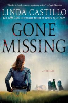Gone Missing (Kate Burkholder 4) Read online