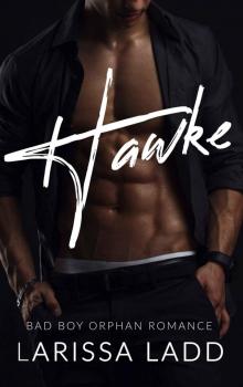 Hawke: The Miles Brothers Series 1 Read online