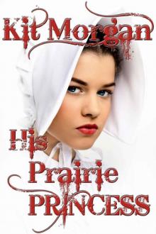 His Prairie Princess (Prairie Brides 1)