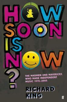 How Soon is Now?: The Madmen and Mavericks who made Independent Music 1975-2005 Read online