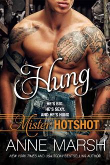 Hung (Mister Hotshot Book 1) Read online