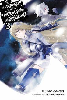 Is It Wrong to Try to Pick Up Girls in a Dungeon?, Vol. 3 Read online