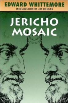 Jericho Mosaic jq-4 Read online