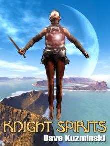 Knight Spirits