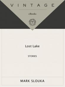 Lost Lake: Stories (Vintage Contemporaries) Read online