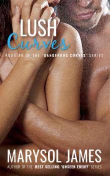 Lush Curves (Dangerous Curves Book 8) Read online