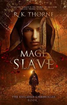 Mage Slave (The Enslaved Chronicles Book 1) Read online