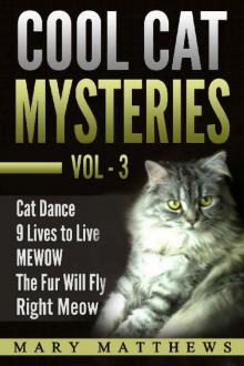 Magical Cool Cat Mysteries Boxed Set Volume 3 (Magical Cool Cats Mysteries) Read online