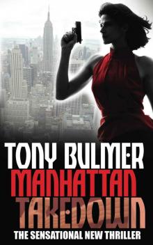 Manhattan Takedown (Karyn Kane #2) Read online